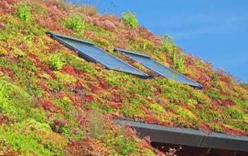 Low Grantley living roof systems